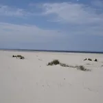 Dichtbijzee