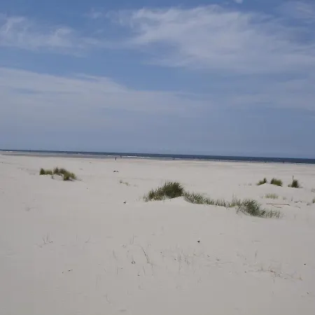 Dichtbijzee
