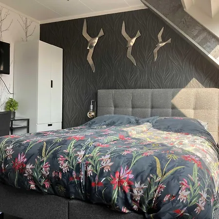 Hotell Dichtbijzee Oosterend (Terschelling)