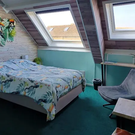 Dichtbijzee 3*