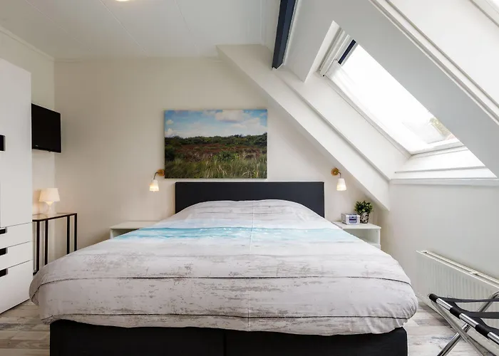 Hotel Dichtbijzee 3*