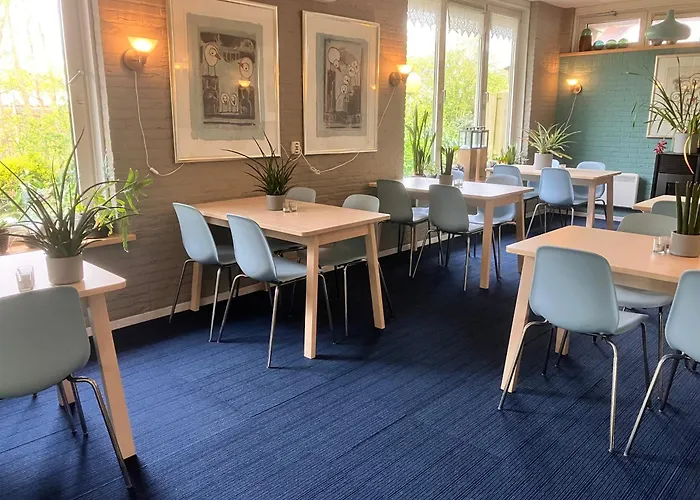 מלון Dichtbijzee 3*